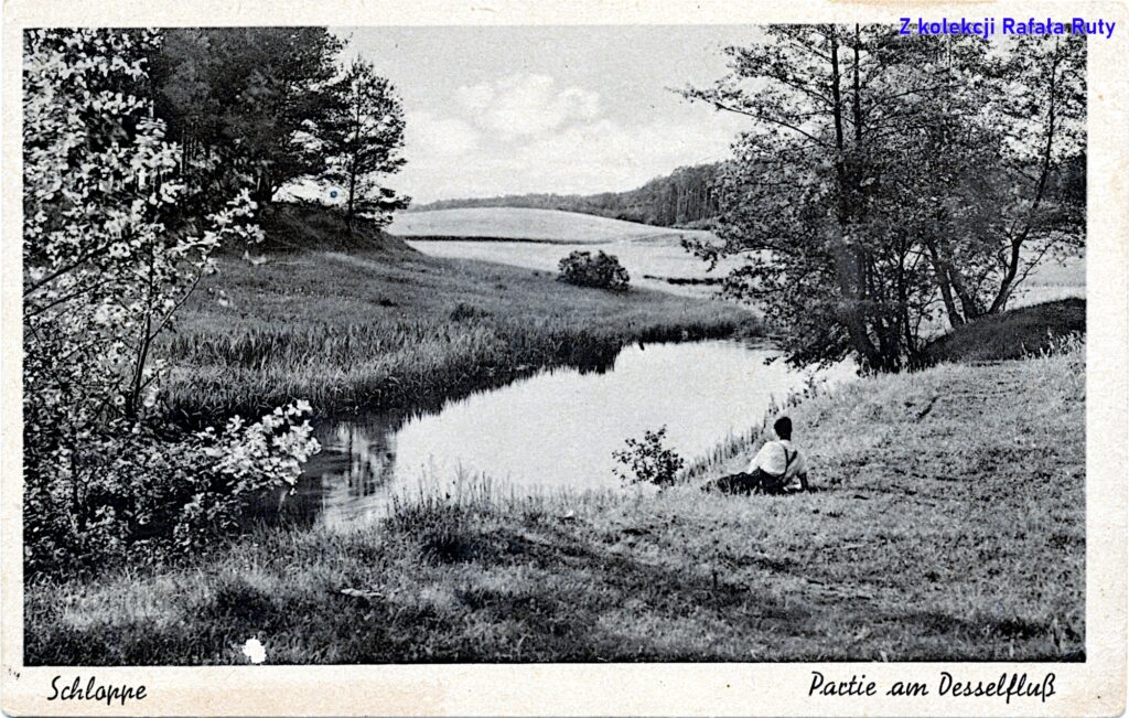 23. Nad Cieszynką w okolicach Człopy; pocztówka bez obiegu, przypuszczalnie około roku 1940, wydawca Ludwig Schulz, Schloppe/Człopa, fotografia autorstwa Otto Behnke. Ze zbiorów Rafała Ruty