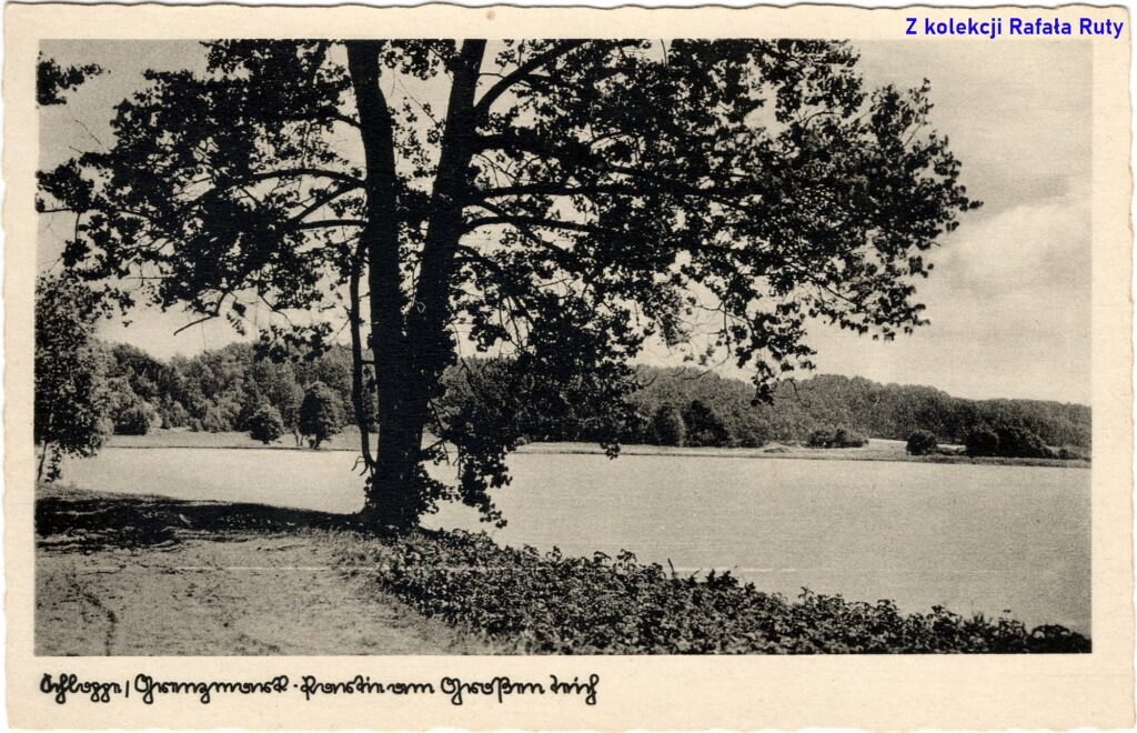 31. Jezioro Młyńskie w Człopie; pocztówka bez obiegu, prawdopodobnie lata 1930., wydawca Willi Goeritz, Schloppe/Człopa. Ze zbiorów Rafała Ruty