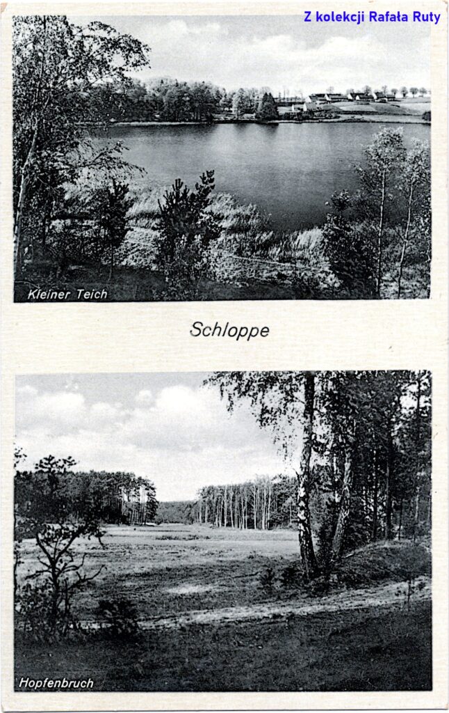 29. Dwa widoki z okolic Człopy: Jezioro Miejskie i Rynna Grodzisko; pocztówka z obiegu, lata 1930. (data stempla nieczytelna), wydawca Ludwig Schulz, Schloppe/Człopa, fotografia autorstwa Otto Behnke. Ze zbiorów Rafała Ruty